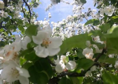 Asociatyvi nuotr. Canva nuotr.