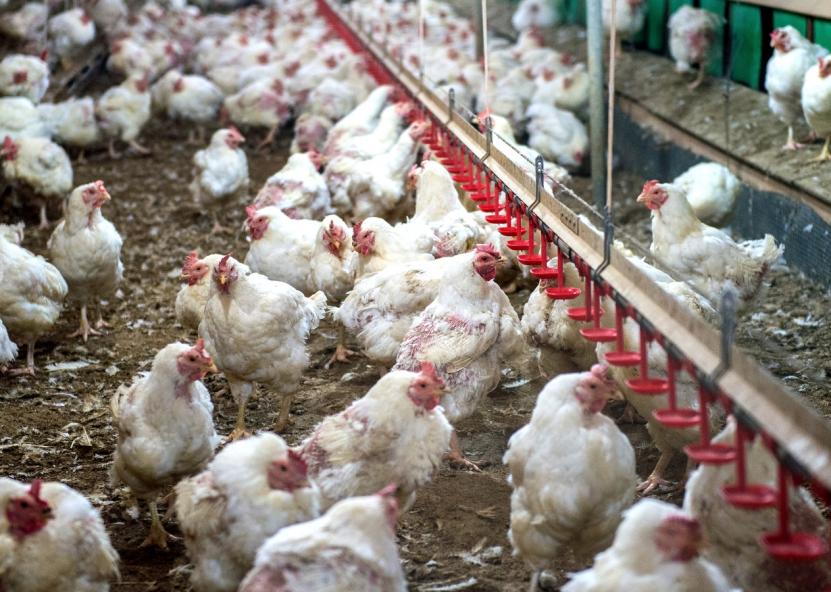 Asociatyvi nuotr. Canva nuotr. 