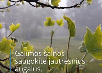 Meteo.lt nuotrauka.