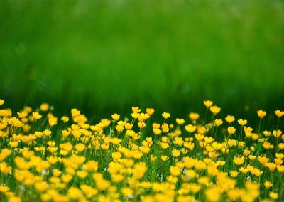 Žemės ūkio ministerijos nuotr.