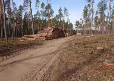 Dzūkų žinių nuotr.