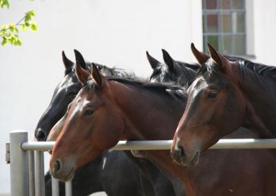 Asociatyvi nuotr. Canva nuotr.