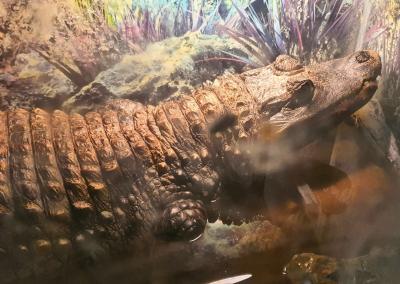 Įvykio nuotr. AAD nuotr.