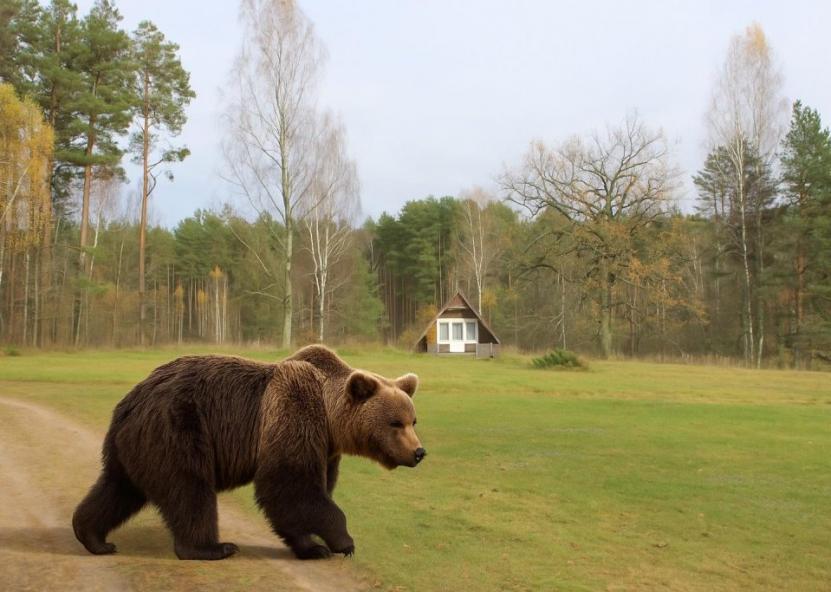 Dirbtinio intelekto sugeneruota nuotr. 