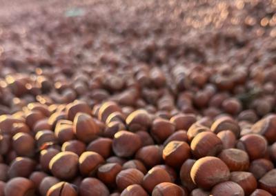 Asociatyvi nuotr. Canva nuotr.