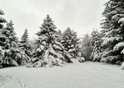 Kris Tinos nuotr./ Orų entuziastai