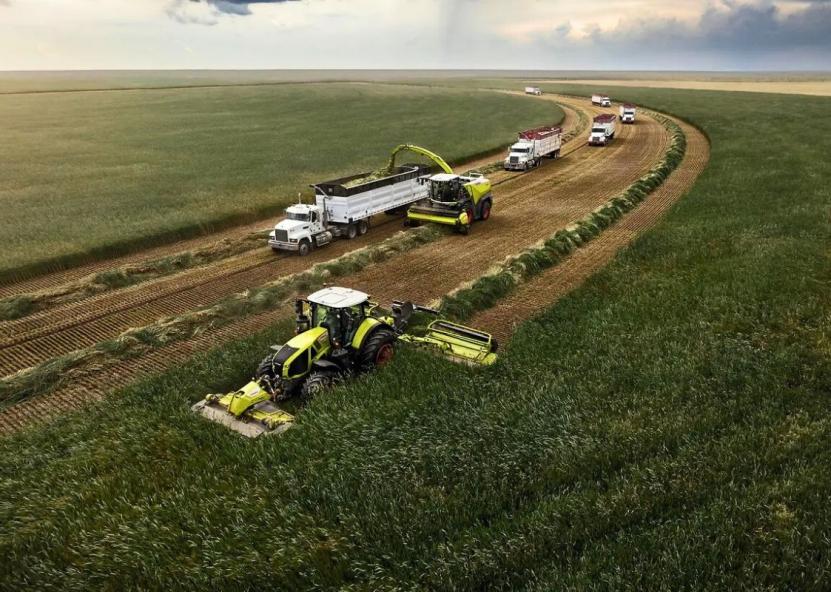 Claas Jaguar 1200 siekia pasaulio našumo rekordo. Claas nuotr. 