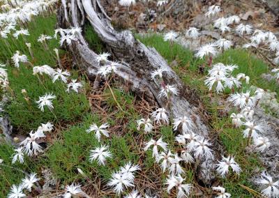 Asociatyvi nuotr. AM nuotr