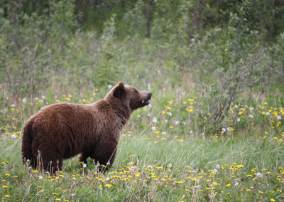 Aplinkos ministerijos nuotr.