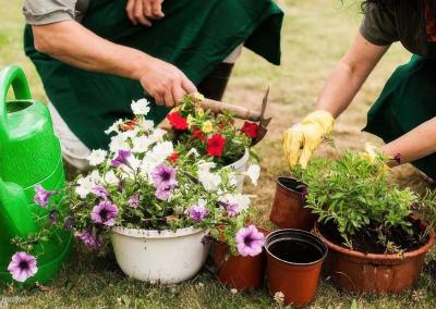 Asociatyvi nuotr. Mūsų Ignalina nuotr.
