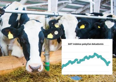GDT indeksas pastarąsias dvi prekybos sesijas didėja.