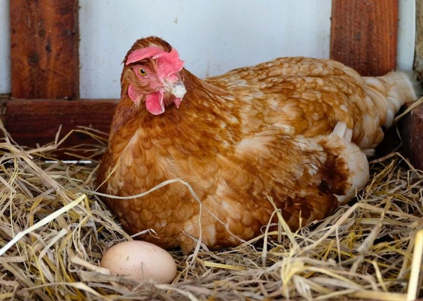 Asociatyvi nuotr. Canva nuotr.