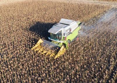 Asociatyvi nuotr. Canva nuotr.