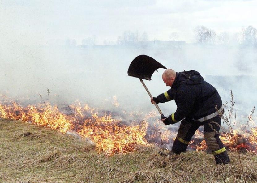 Dega žolė. Rinkos aikštės nuotr. 