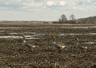 Asociatyvi nuotr. Pasvalio Darbas nuotr.