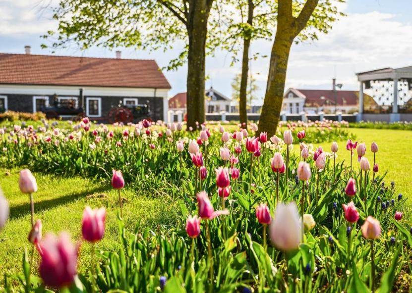 Asociatyvi nuotr. Pakruojo dvaro nuotr.